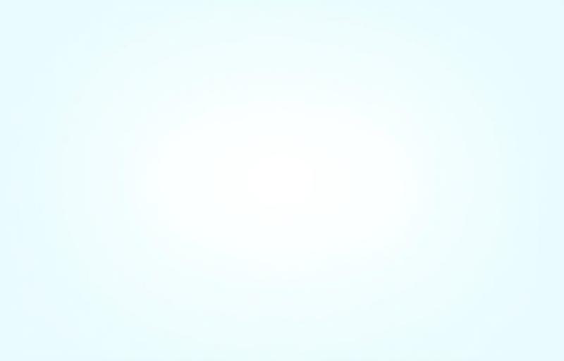 Mockup-Screenshot der Online-Buchungsmaschine von Ostsee Link Ferries